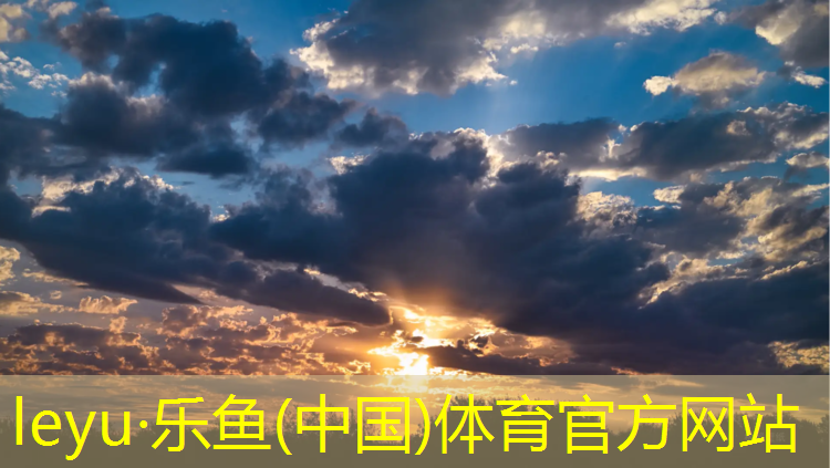 <strong>乐鱼体育,双杠臂屈伸动作要领归纳总结图</strong>